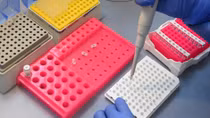 Nga công bố thời điểm có vaccine chống COVID-19