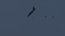 Israel ồ ạt không kích Syria sau vụ Cao nguyên Golan