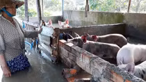 Người dân Cần Thơ khốn khổ vì triều cường