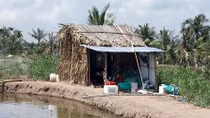 Ba người tử vong trong chòi tôm nghi trúng độc