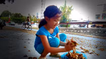 Mùa hoa dầu trên phố Cần Thơ