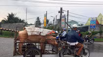 Bàn giải pháp cấp bách hỗ trợ người chăn nuôi heo