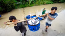 Ngành hàng cá tra tăng trưởng vượt bật trong năm 2018