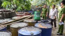 Bắt quả tang cơ sở tái chế nhớt thải trái phép với số lượng lớn