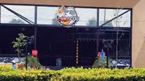 Sau phản ánh của Báo CAND, Nhà hàng Cáo và Cừu Beer Garden đã trồng lại 2 cây sao đen