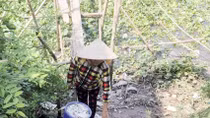 Nguyên nhân khiến cá nuôi lồng bè ở An Giang chết hàng loạt 