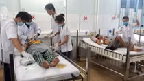 Một gia đình bị ngộ độc nặng nghi do ăn cá nóc