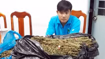 Vận chuyển hơn 10kg cần sa khô bằng xuồng máy