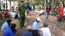 "Trường gà" quy mô lớn tại vườn sao bị triệt phá