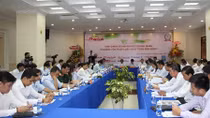 Thượng tôn pháp luật, phát triển bền vững