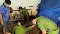 Công ty Châu Việt Long bị phạt 370 triệu đồng vì xả thải trực tiếp ra sông Hậu