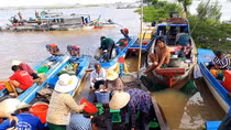 Chợ cá “rặt đồng” mùa nước nổi