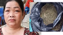 Sang Campuchia mua cần sa mang về Việt Nam bán kiếm lời