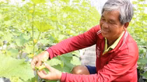 An Giang trao quyết định chủ trương đầu tư cho 23 dự án trọng điểm