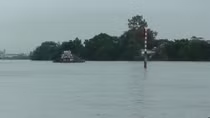 Triều cường trên sông Đồng Nai lên sát mức báo động 3 