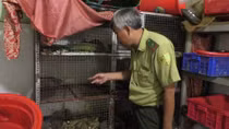 Giải cứu 15 động vật quý hiếm ngay trong quán nhậu
