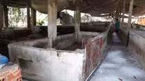 Huyện đầu tiên của Đồng Nai công bố hết dịch tả lợn châu Phi