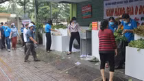 Hàng trăm người dân được nhận rau, củ giá 0 đồng 