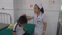 10 học sinh bị ong đốt nhập viện, cả trường nghỉ học