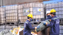 Phạt 70 triệu đồng với xe container chở bẹ sữa heo bẩn