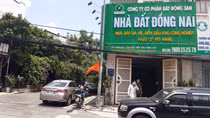 Giám đốc Công ty bất động sản lừa đảo chiếm đoạt gần 100 tỷ đồng