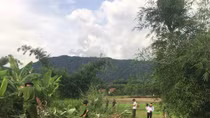 Lực lượng vũ trang Đồng Nai chung tay xây dựng nông thôn mới