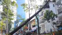 Mưa to gió lớn, đường ngập, cây xanh gãy đổ