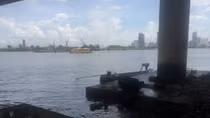 Ném cần câu khi phát hiện thi thể nổi dưới chân cầu