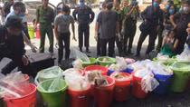 Nhiều điều chưa biết về đường dây vận chuyển 500kg ketamine