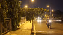 Người đàn ông đột tử dưới chân cầu khi đang đi bộ