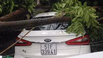 TP Hồ Chí Minh tơi tả bởi một cơn mưa 