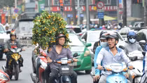 Hối hả đưa xuân về nhà