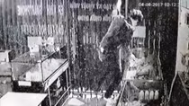 Tên trộm phá trần, đu dây đột nhập cửa hàng ĐTDĐ như Ninja