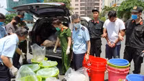 Thủ đoạn của các đối tượng trong chuyên án vận chuyển 500kg ketamine 