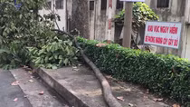 Nữ công nhân bị cành cây rơi trúng đầu đã tử vong