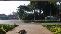 Người đàn ông chết bất thường dưới chân cầu vượt thép 
