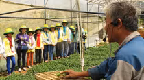 101 đại sứ hàng Việt tí hon lên Đà Lạt học làm nông dân