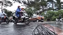 Xe khách vướng “thòng lọng” cáp viễn thông, 3 trụ điện bị đổ