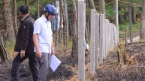 Táo tợn phân lô bán đất rừng ở Đà Lạt