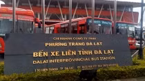 Lâm Đồng dừng vận chuyển khách đến Quảng Ninh, Hải Dương