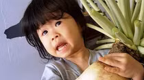  Củ cải khổng lồ nặng 5,5kg