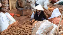 Liên tiếp phát hiện khoai tây Trung Quốc giả Đà Lạt bán đại hạ giá