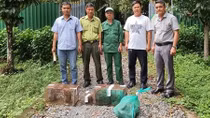 Công an bàn giao động vật hoang dã cho VQG Cát Tiên