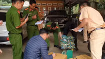 Cảnh sát giao thông bắt đối tượng vận chuyển pháo lậu