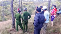  Liên tiếp hai vụ tự tử ở rừng thông Đà Lạt