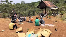Triệt phá sòng bạc qua hình thức đá gà trong rẫy cà phê