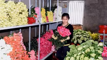 Trước lễ 20-10, hoa Đà Lạt tăng giá mạnh