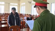 Chặt phá hoa màu vì mâu thuẫn