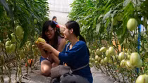 Tìm giải pháp cho du lịch gắn liền với nông nghiệp bền vững