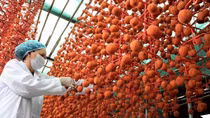 Đà Lạt: Cung cấp mã vạch cho đặc sản để phân biệt với hàng Trung Quốc